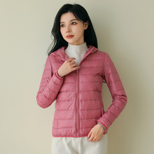 平湖羽绒服女新款短款轻薄修身韩版白鸭绒纯色简约时尚外套批发