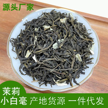 2024横县茉莉花茶小白毫厂家散装绿茶毛尖奶茶袋泡茶用花果茶叶