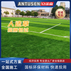 安塗森サッカー場芝生充填型門球場人工偽草皮籠式サッカー運動草全国施工