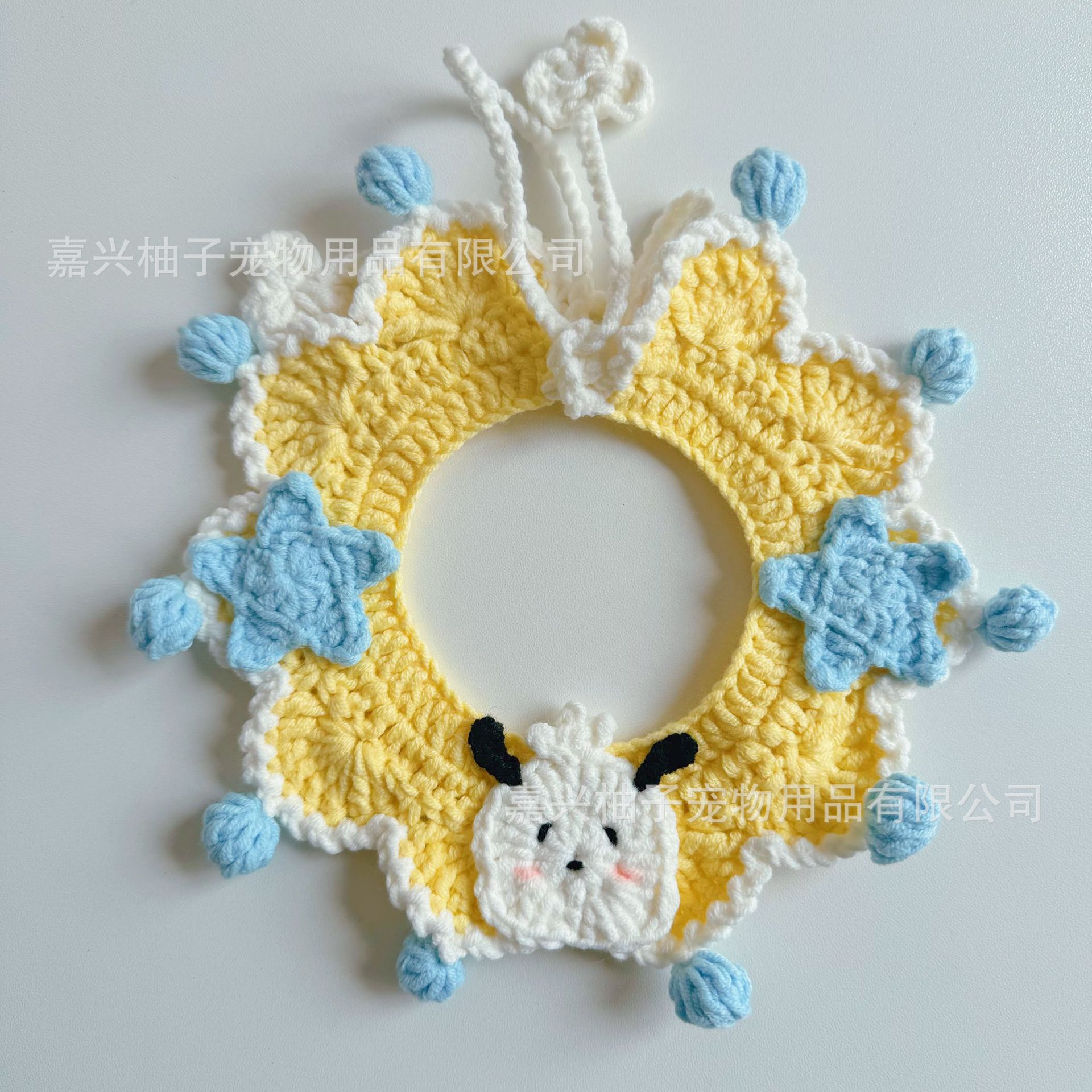 Chapa dog on yellow background