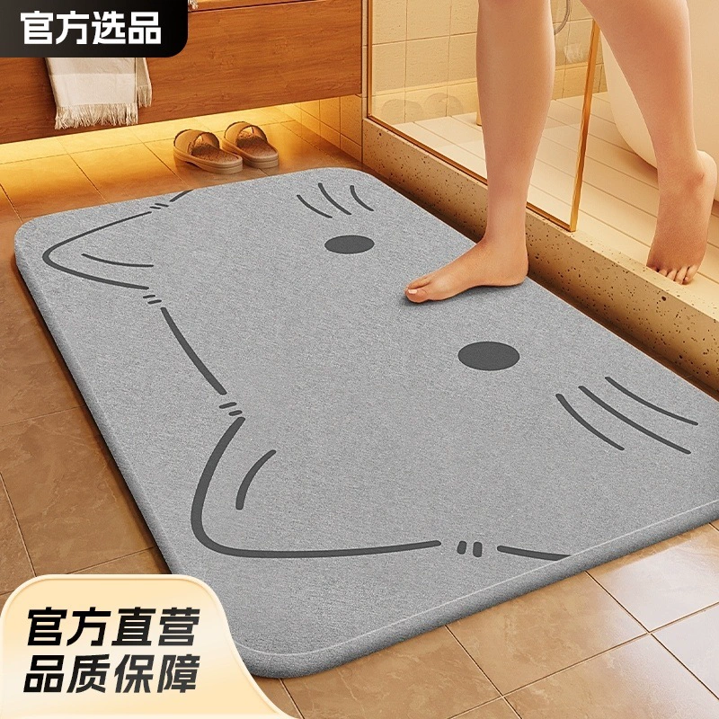 Carpet, non-slip quick dry doormat, water absorbent