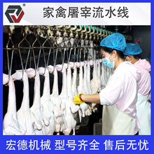 白条鸡淘汰蛋鸡屠宰流水线 家禽屠宰成套设备 大型自动家禽打毛机