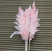 �ɻ��JȔ�羳���R�d���JȔ��ȔȾɫins�bzӰ�[���J��ɻ�