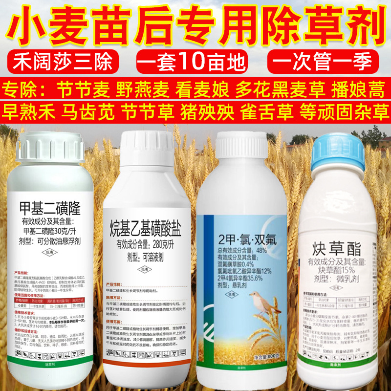 小麦除草剂节节麦野燕麦猪殃殃不伤小麦苗后苗后除草小麦专用喷雾