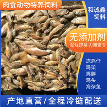 �S�ҹ�������ˮ�����������B������ÓëС�u������s�~