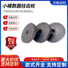 小模数圆柱齿轮 厂家现货双联齿轮双层齿高精度硬齿面齿轮批发