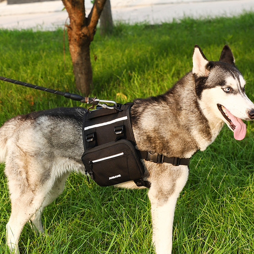  new summer pet bag, dog backpack, portable large dog bag for traveling, can be hung as a traction bag