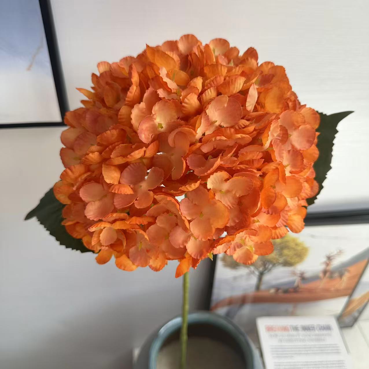 진한 오렌지색