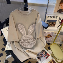 2024���ļ��¿����I | �n�����L��̽���ͨ����T��Ů