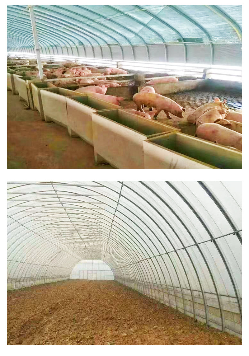 U8国际- U8国际官方网站- U8体育APP下载建设养猪大棚价格 大棚式猪舍搭建 育肥猪养殖大棚施工安装