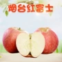 栖霞山东特大新鲜水果