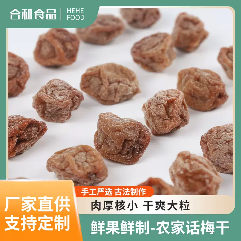 厂家直供散装包装休闲农家话梅干潮汕特产蜜饯果脯话梅干加工批发