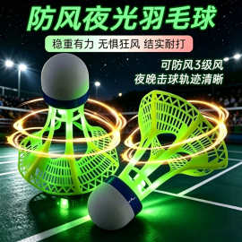 发光羽毛球夜用户外防风球耐打塑料胶训练球打不烂夜光高弹力抗风