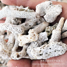 现货供应  珊瑚骨  珊瑚石 珊瑚砂 水族鱼池海鲜池海洋馆过滤材料
