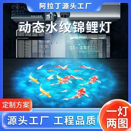 广告灯具;舞台灯;太阳能灯