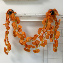 亚马逊人造仿真桉树叶藤条 家居装饰绿植假树叶藤蔓婚礼布置道具