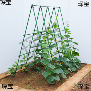 ����䓹�֧���߲�֧�ΗU���������t���������S��ֲ����ܼ�����