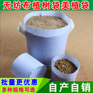 �o����ֲ����Ӻ���ֲ��������������ԷNֲ���B���I�B���N��