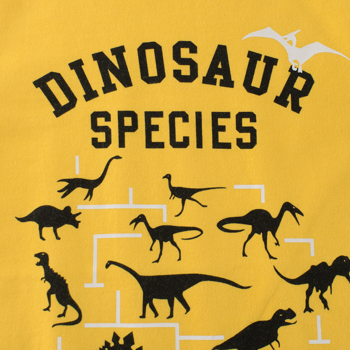 GRRR transfronteriza ropa para niños suministro en vivo 2023 otoño nuevo dinosaurio camisa de fondo Camiseta de manga larga para niños hombres y mujeres