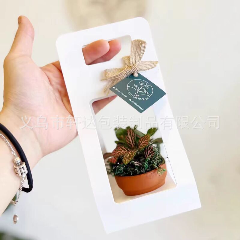 母の日バレンタインデー多肉植物鉢植えフラワーアレンジメントボックスポータブル紙フラワーバスケットフラワーアートサロングリーン植物|undefined