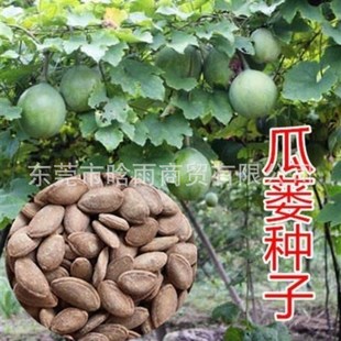 ���l���V�N�ӲķN���컨����ǵ������ǹ��Ѵ������ٹ��V�ӷN����