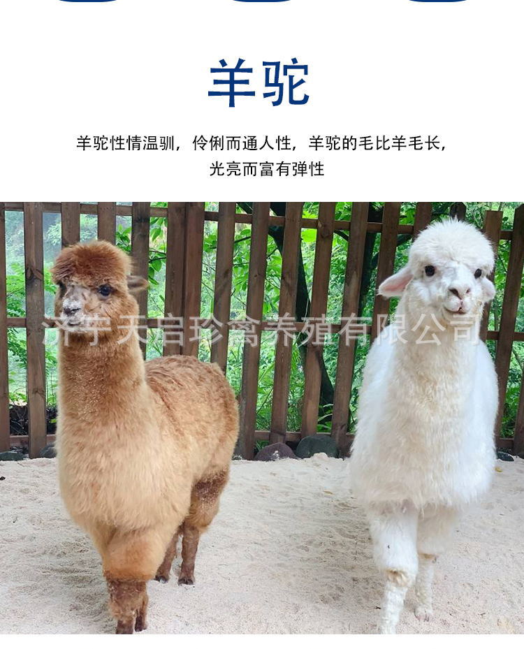 6bc63aaa96021d32a5de22a15ede70