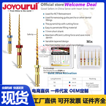 ���ƙC�����ί�����RT�S  Re-treatment Files �⁙C���S�U���