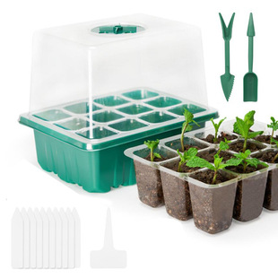 Cross-Border 12-hole high-cover seedling box succulent plastic thickened transparent seedling tray factory wholesale seedling box
