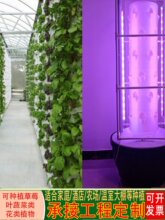 6p6�������F����ϵ�yˮ���O��o�������߲˻������Dʽ�Nֲ��