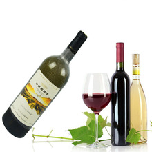 包装塑料酒瓶保护套网套 饮料瓶网袋pe挤塑护网 套红酒瓶保护网