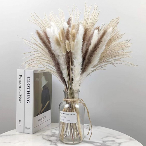 Hot-selling reed set: pampas grass, small reeds, dried flowers, rabbit's tail grass, small dusters, decorative ornaments, living room flower bouquet arrangements.