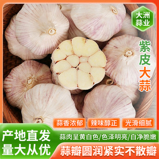 �ɴ����^�ԷN����轿h2025��������tƤ��Ƥ��Ƥ���^�����D����