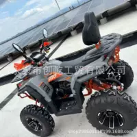 200cc двухколёсный привод с воздушным охлаждением полноприводный ATV, мотоцикл на топливе, бездорожье, снег, UTV