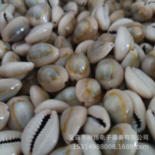 �����u �����Ƚ�߅��ؐ ��Ȼؐ������ �ֹ�DIY���Ϸ��b�o�� ����