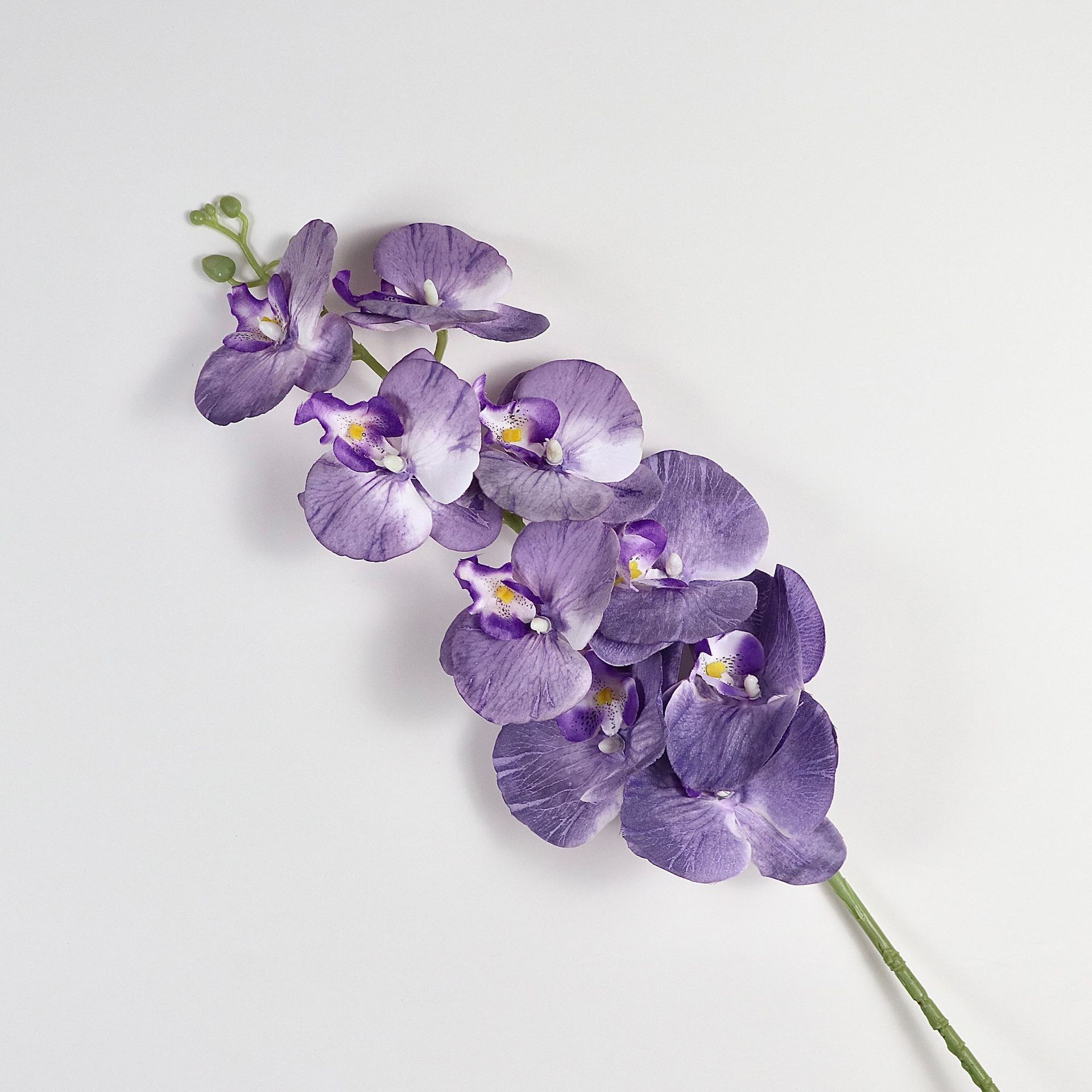 보라색