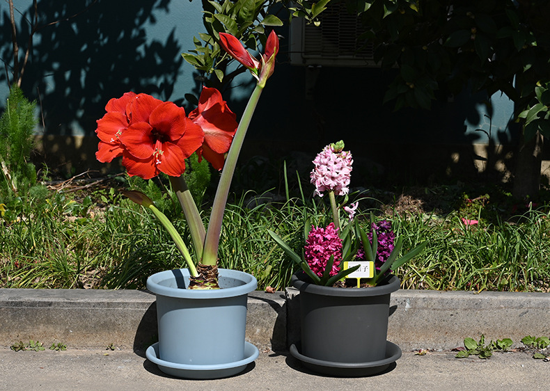 圆筒盆 实拍图.jpg