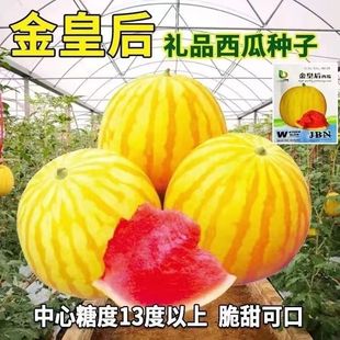 ��ʺ�YƷ���ϷN���SƤ�������ϷN�Ѹ����洺�ļ��Ϲ��߲˷N����