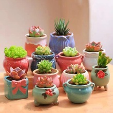 ���⻨���մɶ���ֲ����Տ͹��؟���ɰ���Ä����С���s