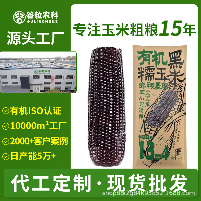 有机黑玉米东北玉米黑糯玉米新鲜玉米真空装非转基因批发代发定制