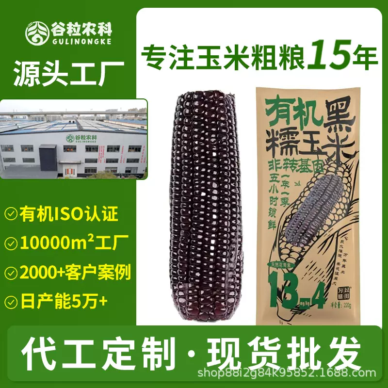 有机黑玉米东北玉米黑糯玉米新鲜玉米真空装非转基因批发代发定制