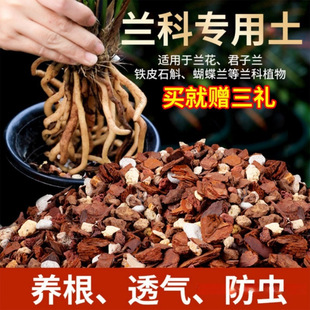 A�m�������Bֲ��͸��ʯ���ɘ�Ƥ�B�����m�����m���÷Nֲ�ϠI�B��Q