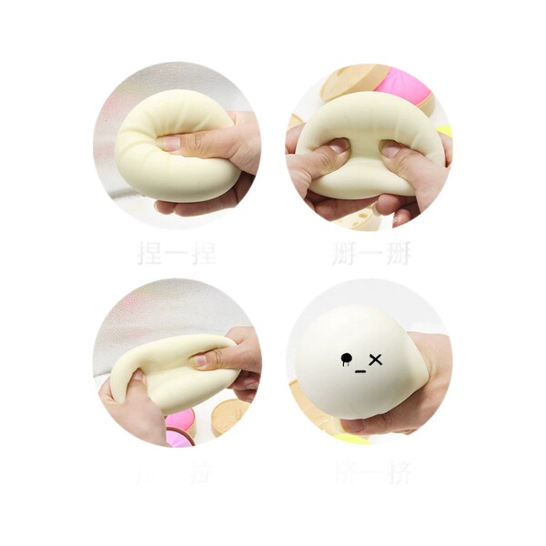 animal model