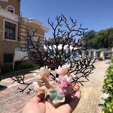 ���l��ɫɺ���亣��ؐ�������~��ˮ���쾰�[���b[����֬��