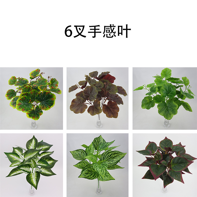 详情图