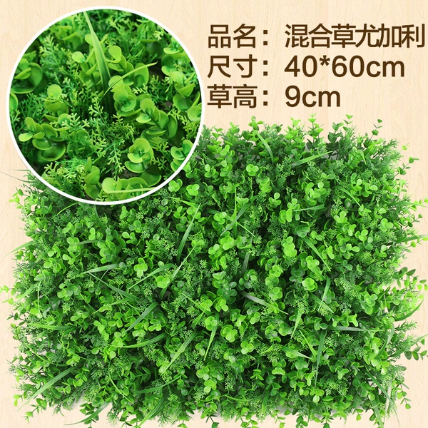 Mixed Cao Yogali