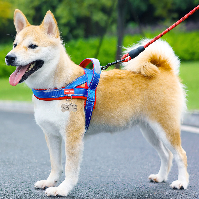 马鞍式狗狗牵引绳中小型犬比熊防挣脱遛狗绳泰迪宠物胸背带遛狗链|undefined