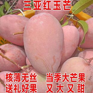���������t��â�Ꭷˮ���������r����b�˽��b�خa����ֱ�l����â