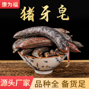 �i���� �������� ���vС����С���v ��ș���i���� ���]�����