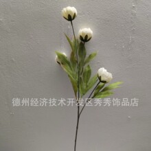 ����ѷ����4ͷ��оĵ�����滨����Ҿ�װ�ΰڼ��ٻ�������ֲ����