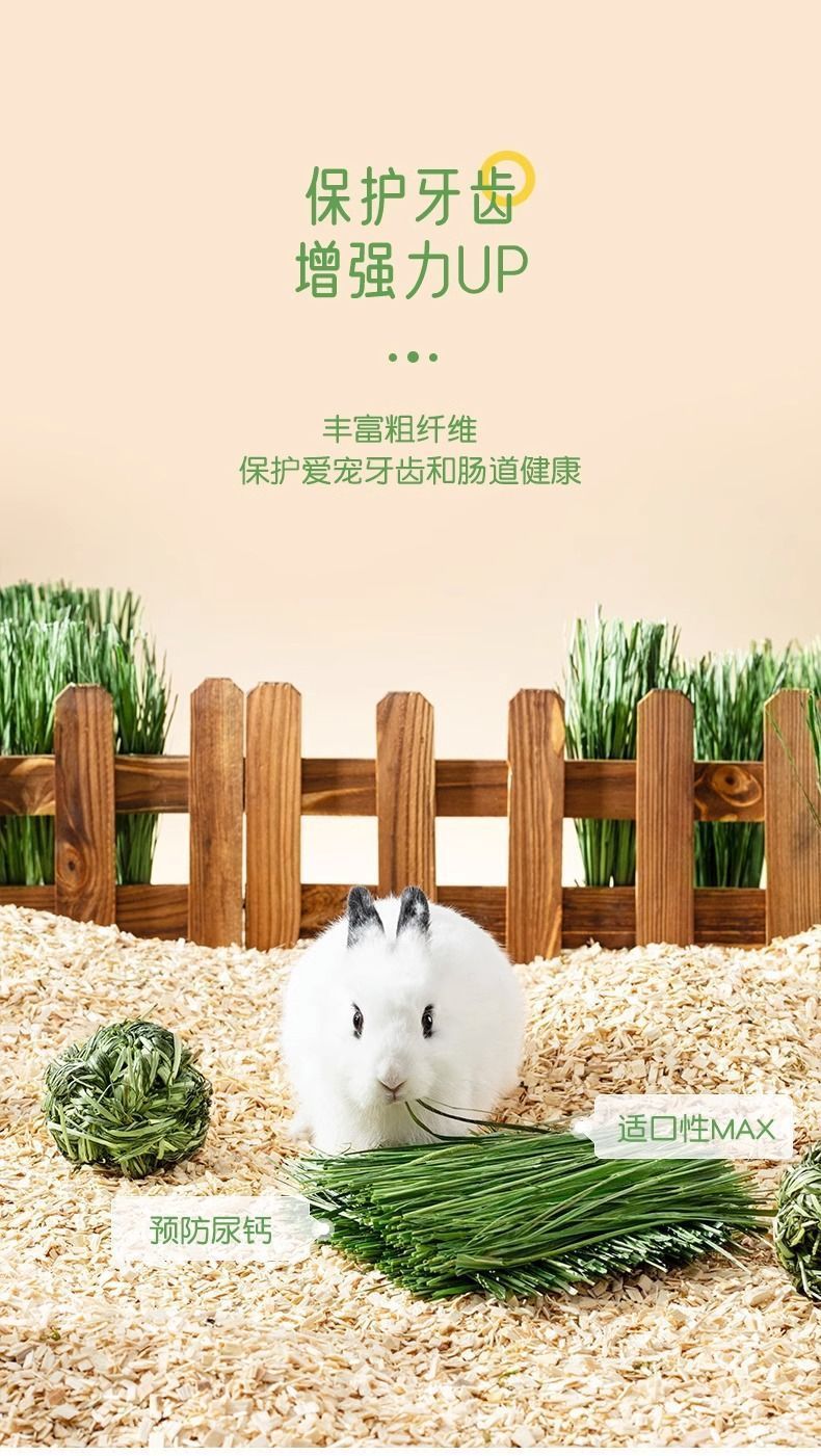 63d15d5b-e6a6-4545-a8be-d0b09ff10048.jpe